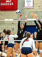 Centl at Liberty VB011